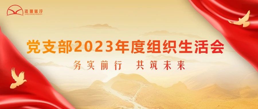 务实前行，勇往直前——公司党支部2023年度组织生活会